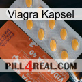Viagra Capsule 43